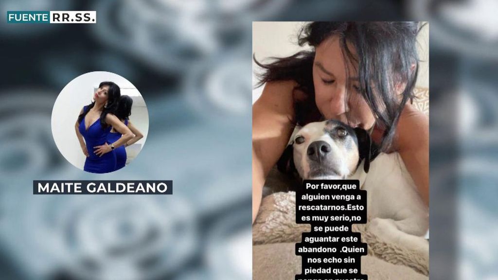 Maite Galdeano pide casa y "ser rescatada": "Busco vivir en finca a cambio de paseos a perritos o dar compañía"