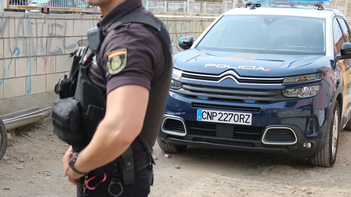 Tensión en Alcalá de Henares, Madrid: un policía dispara al aire para frenar una pelea a machetazos