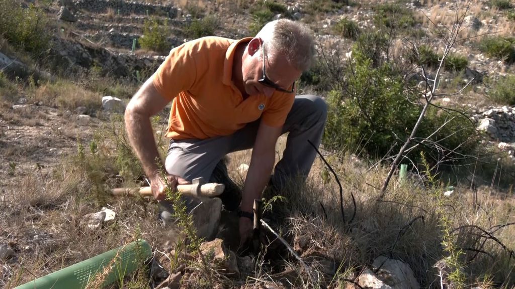 Wim Cambien durante el proceso de reforestación