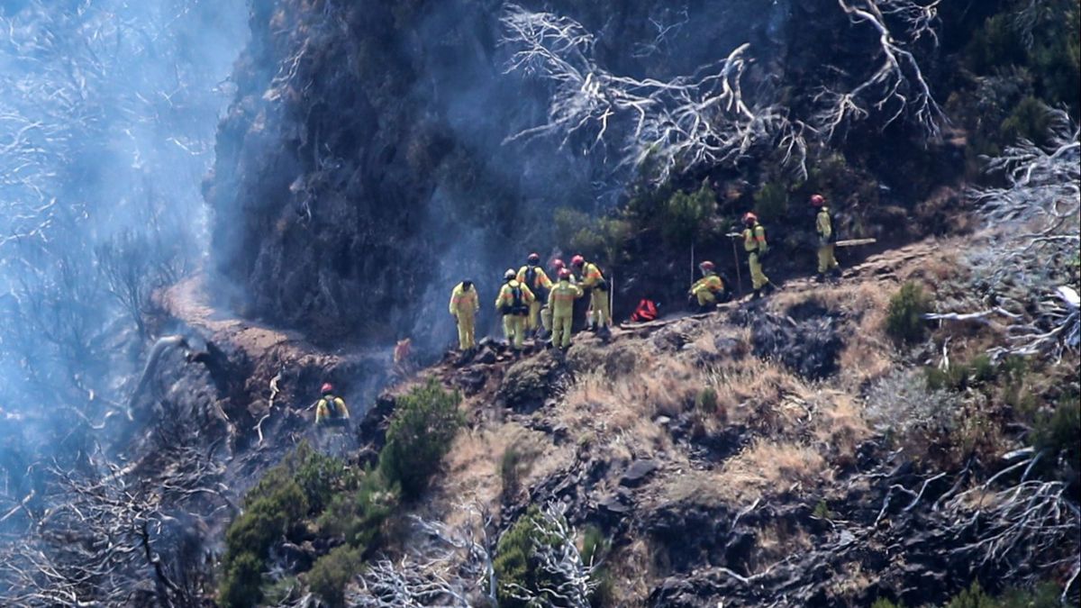 Bomberos en la isla de Madeira