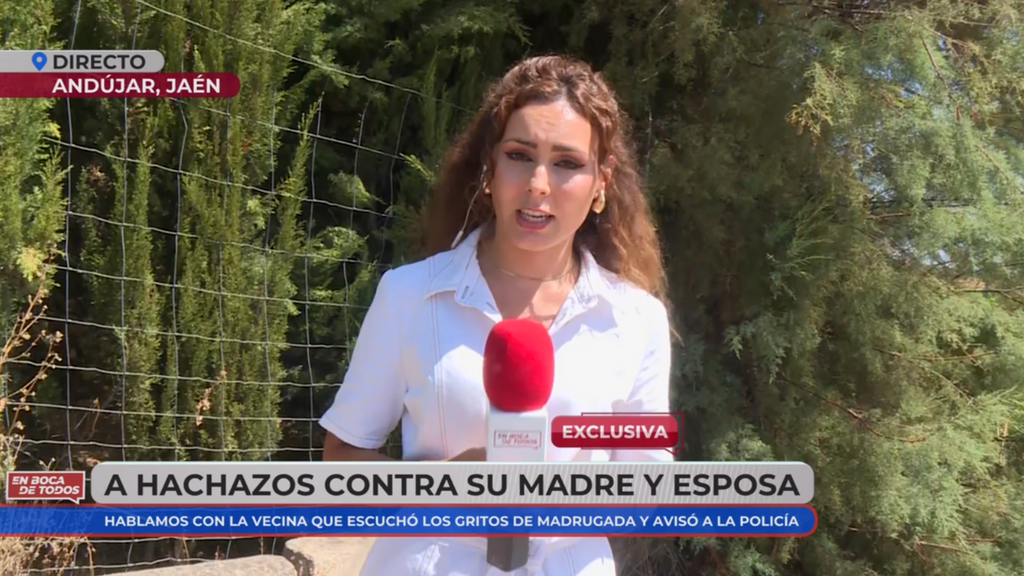 La vecina que socorrió a la madre que fue atacada por su marido y sus dos hijos con un hacha