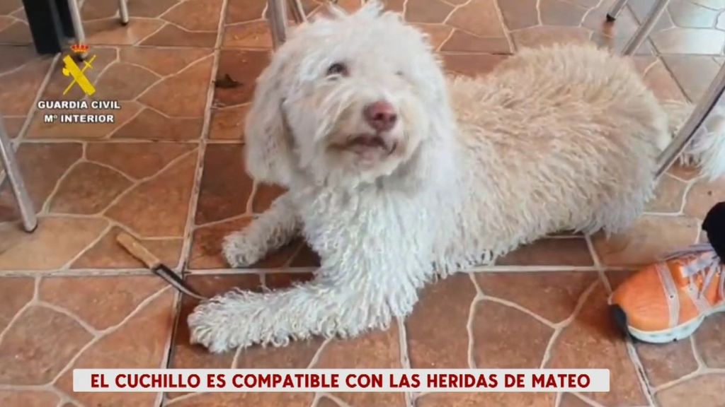 Las heridas de Mateo son compatibles con el cuchillo encontrado en Mocejón