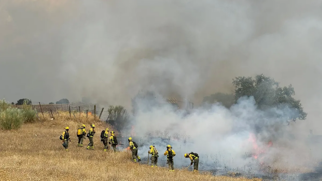 Rado un importante incendio de pastos en Tres Cantos