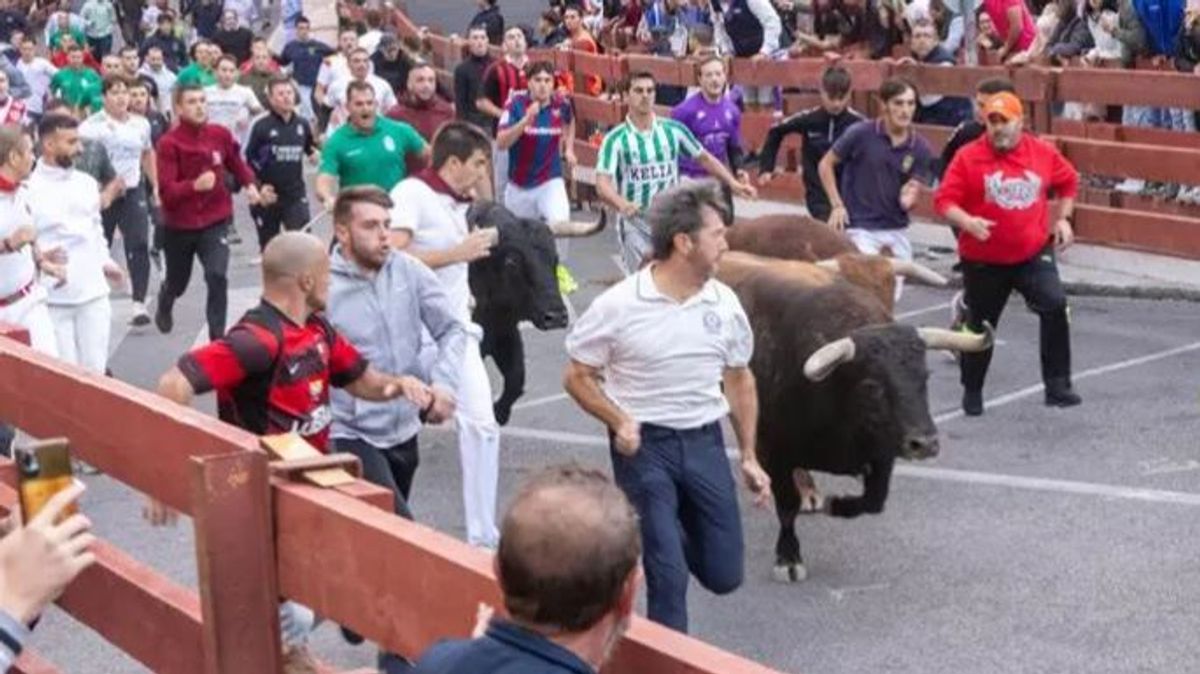 Muere un hombre de 51 años corneado por un toro en Mesones, Guadalajara