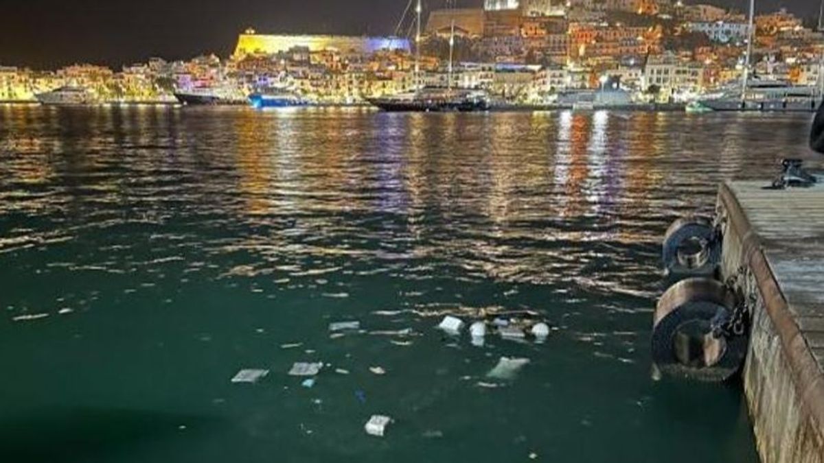 La zona en la que cayó el coche al agua en el puerto de Ibiza