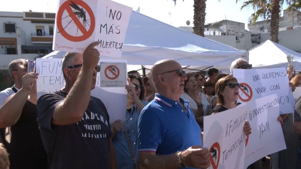 Crece la preocupación en Coria del Río por el virus del Nilo: los vecinos exigen medidas contra los mosquitos