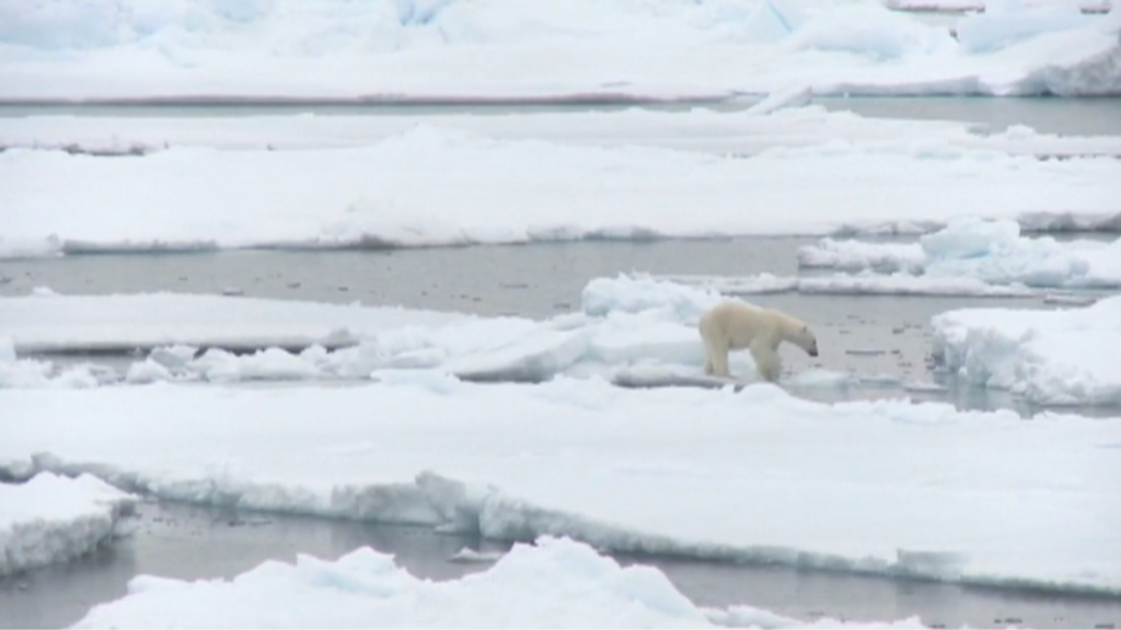 El derretimiento del permafrost amenaza a las poblaciones árticas por la liberación de mercurio