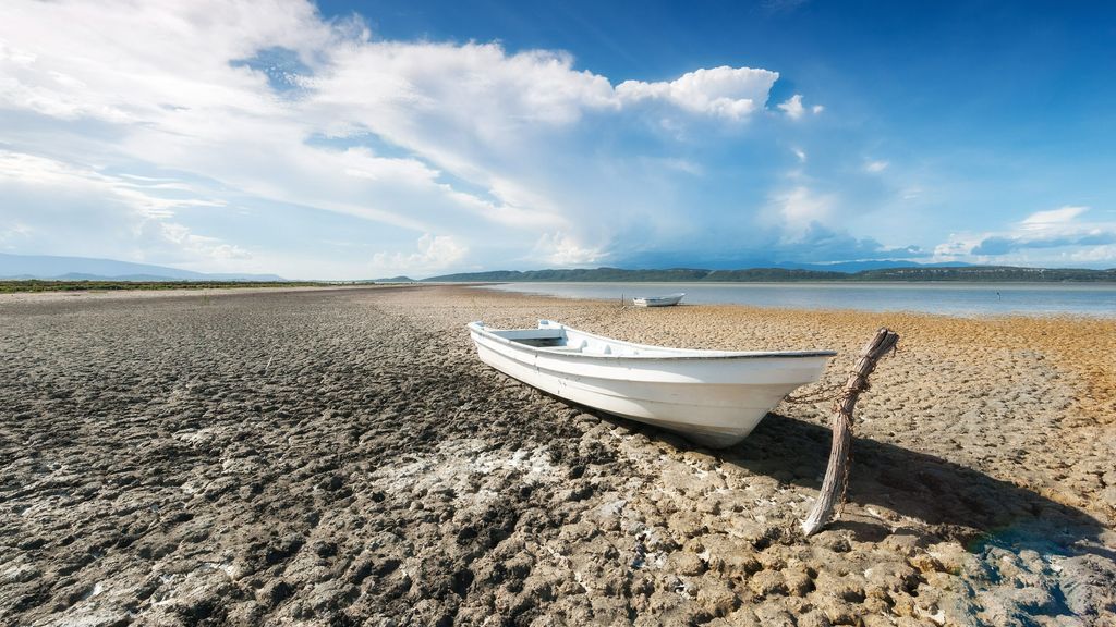 La 'ecoansiedad' y las formas de encararla para combatir el cambio climático y ayudar al planeta