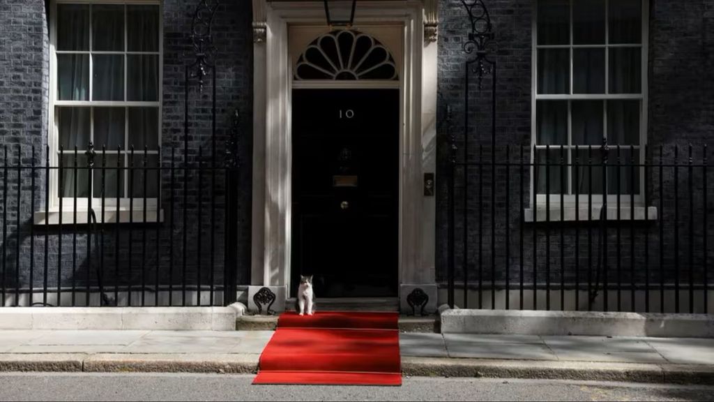 Larry, el gato de Downing Street