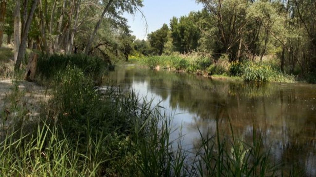 Río Henares en Guadalajara