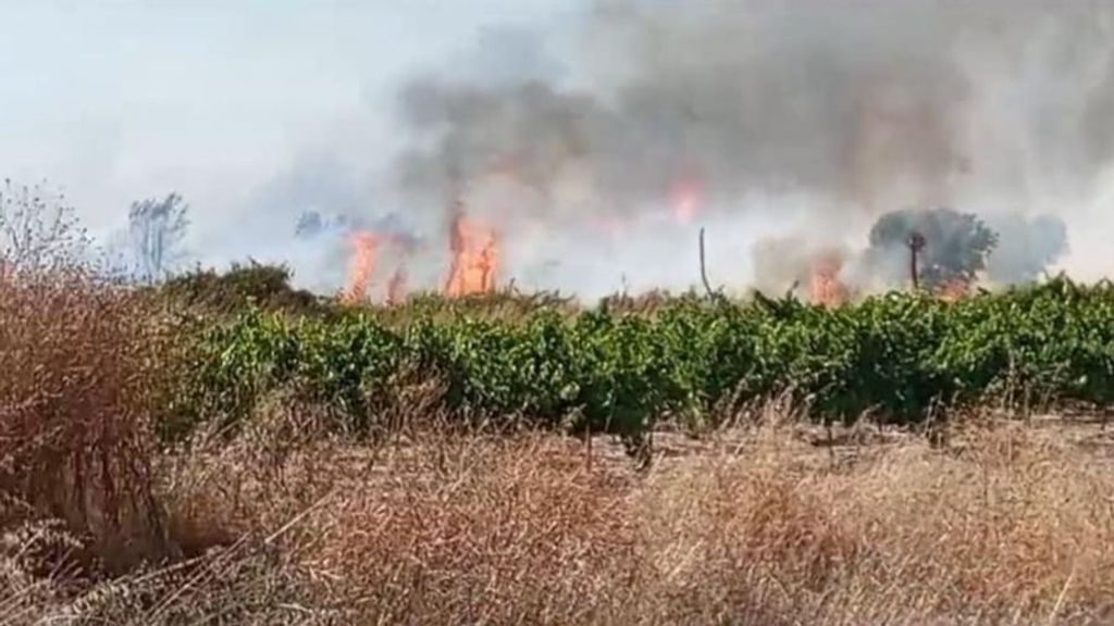 Incendio en Bollullos Par del Condado, Huelva