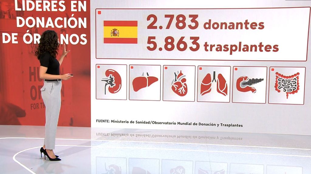 Récord de trasplantes en el mundo: el papel crucial de España, país líder en donación de órganos