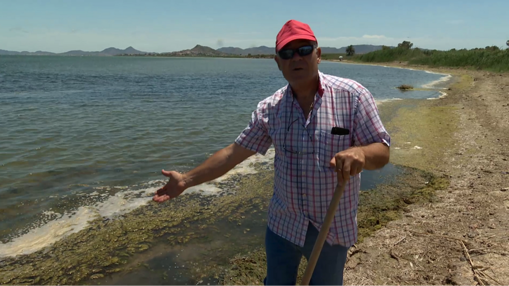 Vecinos de Murcia nos muestran las consecuencias de la biomasa en el Mar Menor: "Esto era un paraíso"