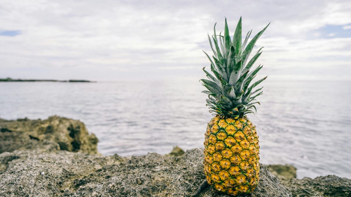 La irónica moda de llevar una piña para encontrar a la media naranja se traslada a las fiestas de A Coruña