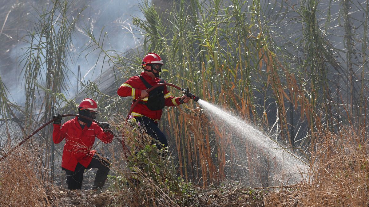 Mueren cuatro militares por la caída de un helicóptero antiincendios en el norte de Portugal