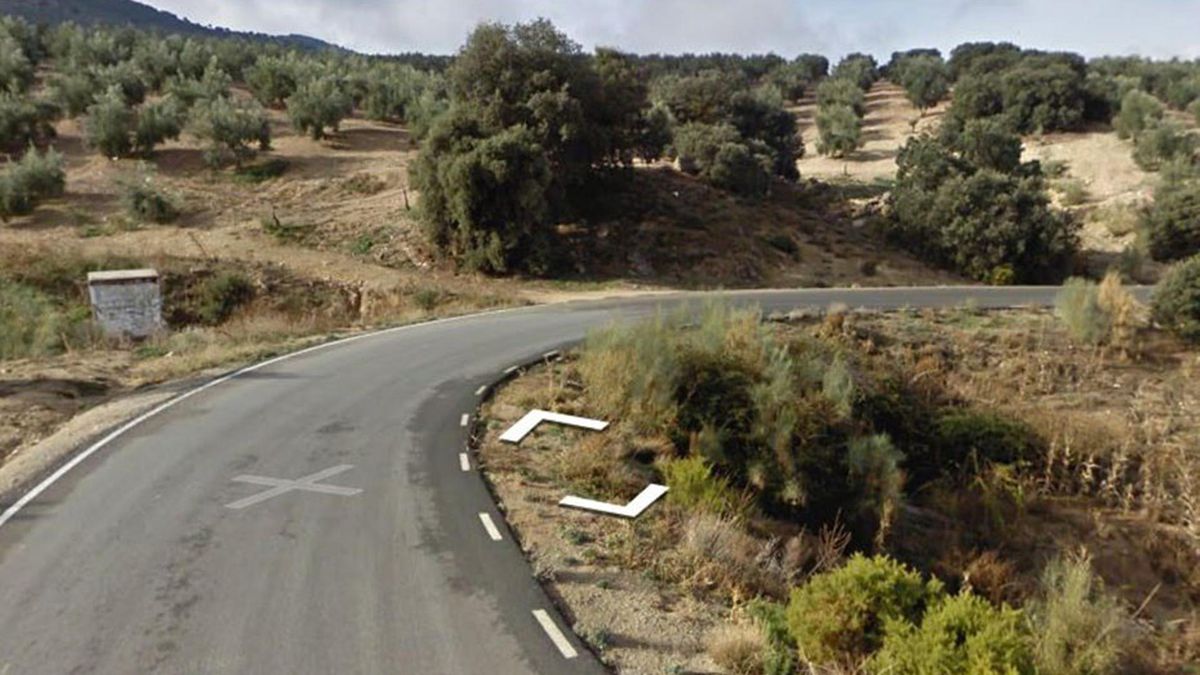 Zona de olivar donde se ha producido el accidente de Píñar (Granada)