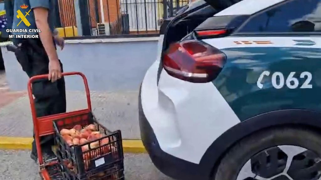 Dos detenidos por robar 4.500 kilos de paraguayos en una finca agrícola de Aznalcázar (Sevilla).