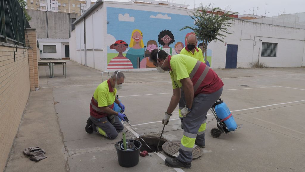 Desratización en un colegio de Sevilla