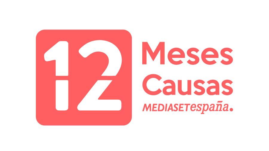12 meses 12 causas