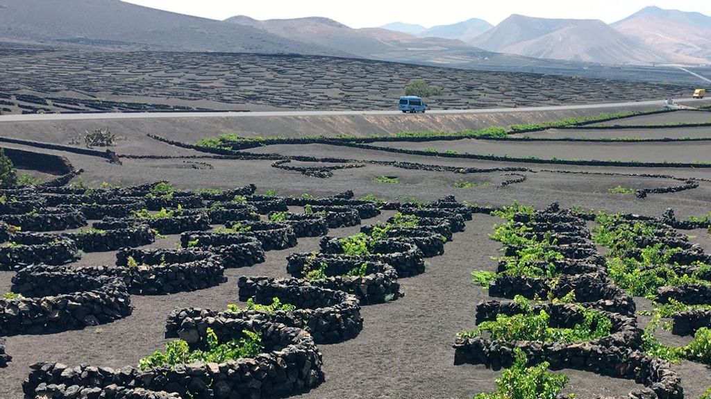 vinos de lanzarote geria