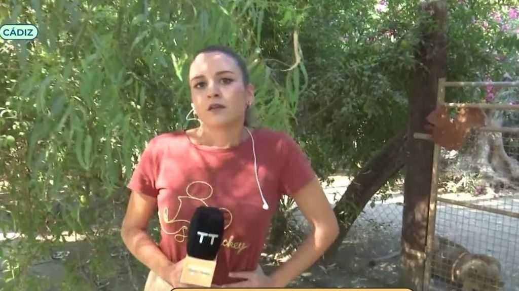 Una reportera de ‘Tiempo al tiempo’, al borde de un ataque de nervios: ¿Se meterá en una jaula junto a una leona?