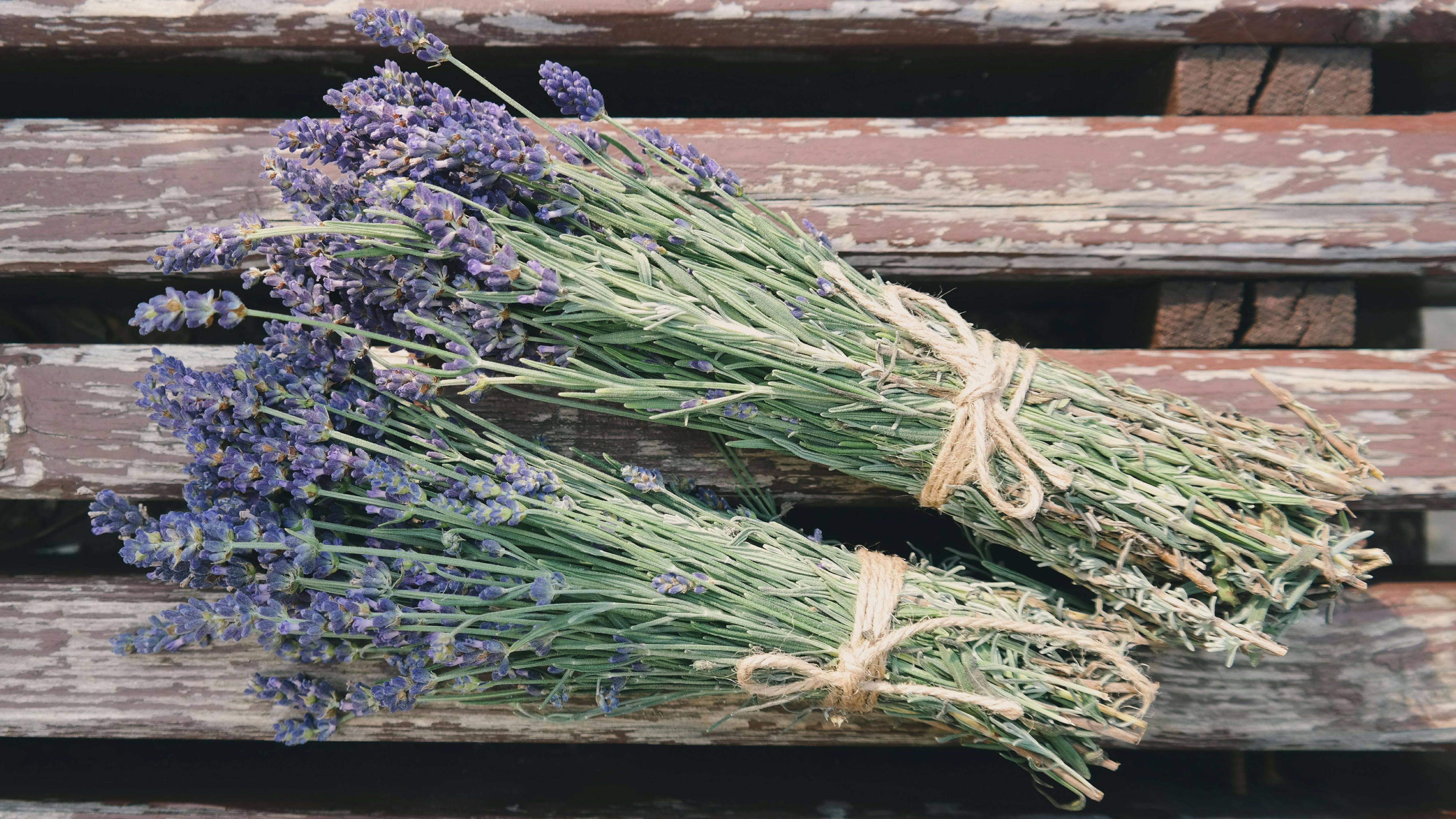 La lavanda reduce la tensión arterial. FUENTE: Pexels
