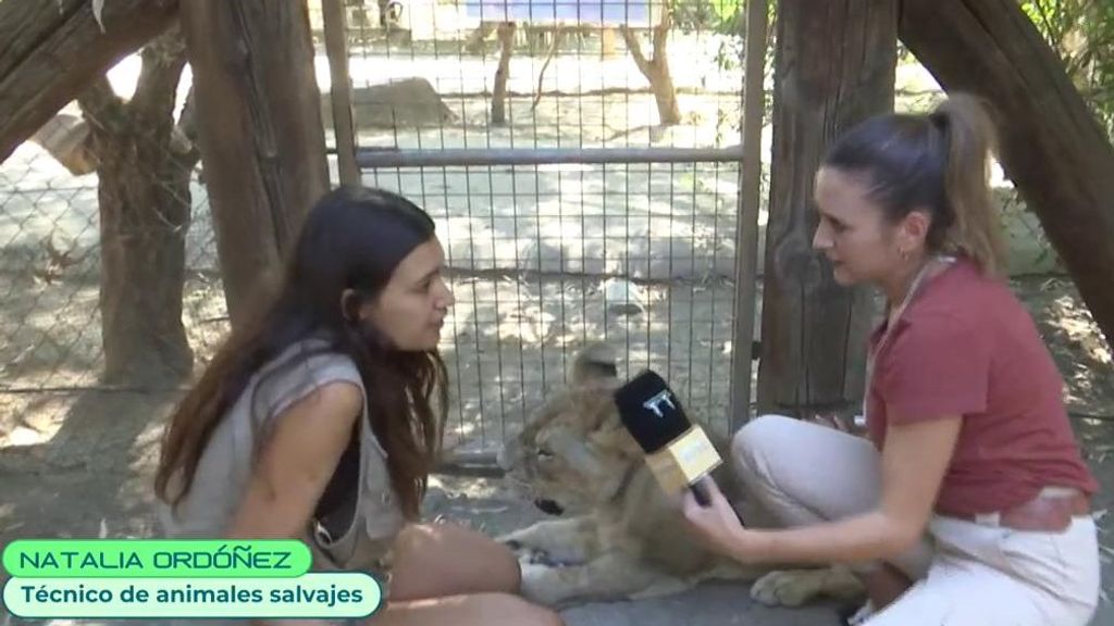 La reportera de 'Tiempo al tiempo' junto a Natalia Ordóñez, técnico de animales salvajes