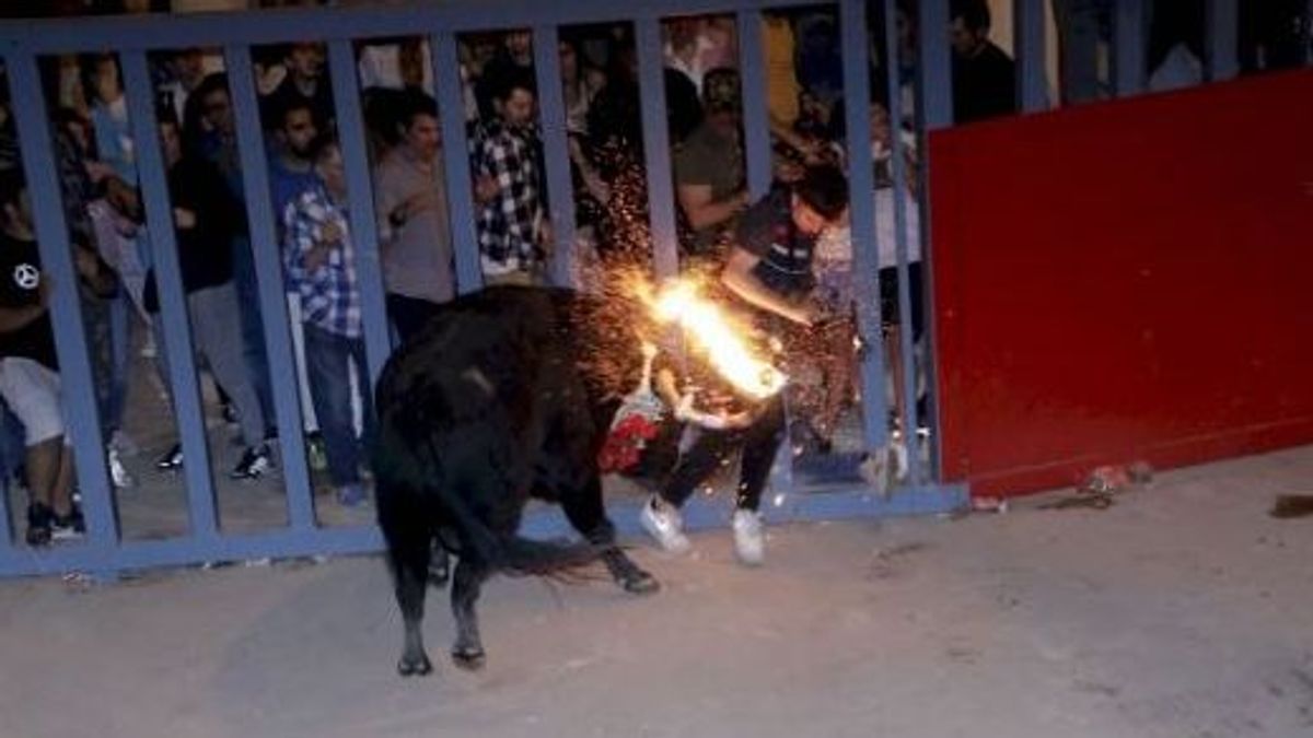 Un menor de 17 años está ingresado en la  UCI del Hospital General de Castellón por la cogida de un toro