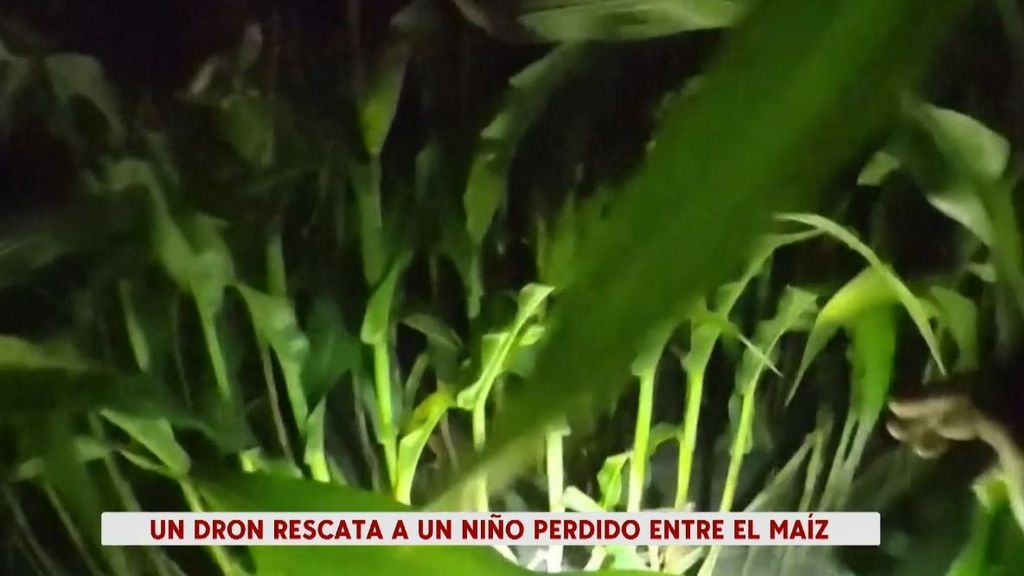 Así encontró la policía a un niño perdido en un campo de maíz en EE.UU