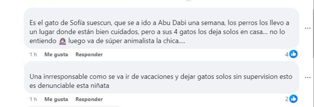 Las críticas a Sofía en el post de facebook del centro de acogida animal