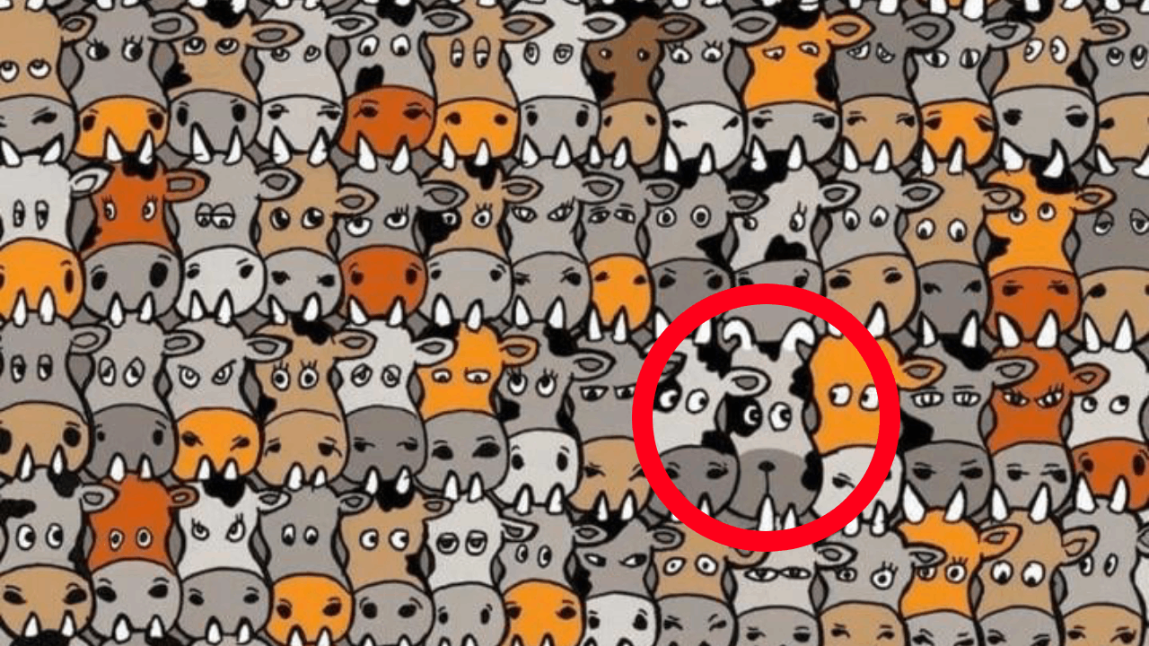 ¡Aquí se encontraba escondido el perro del reto visual!