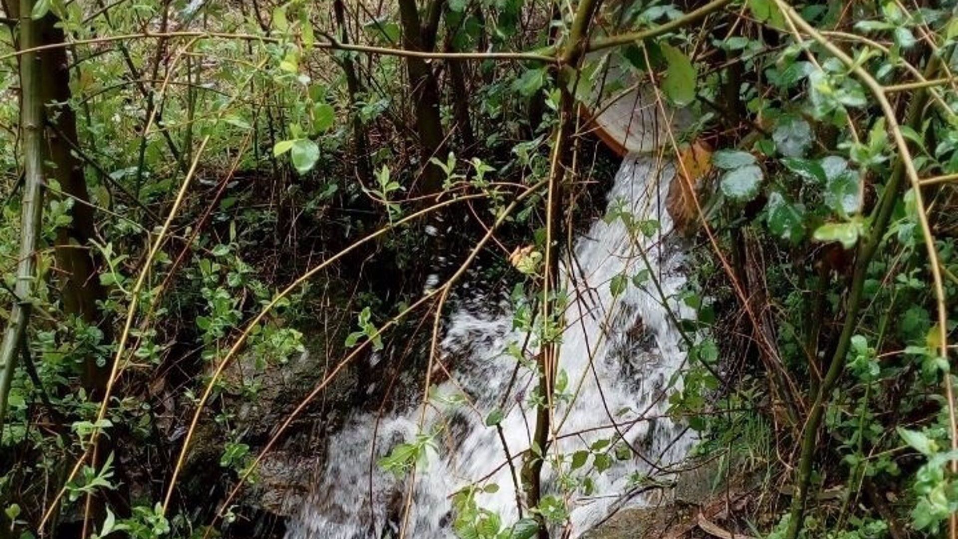 Vertido procedente de la Ciudad Deportiva Afouteza