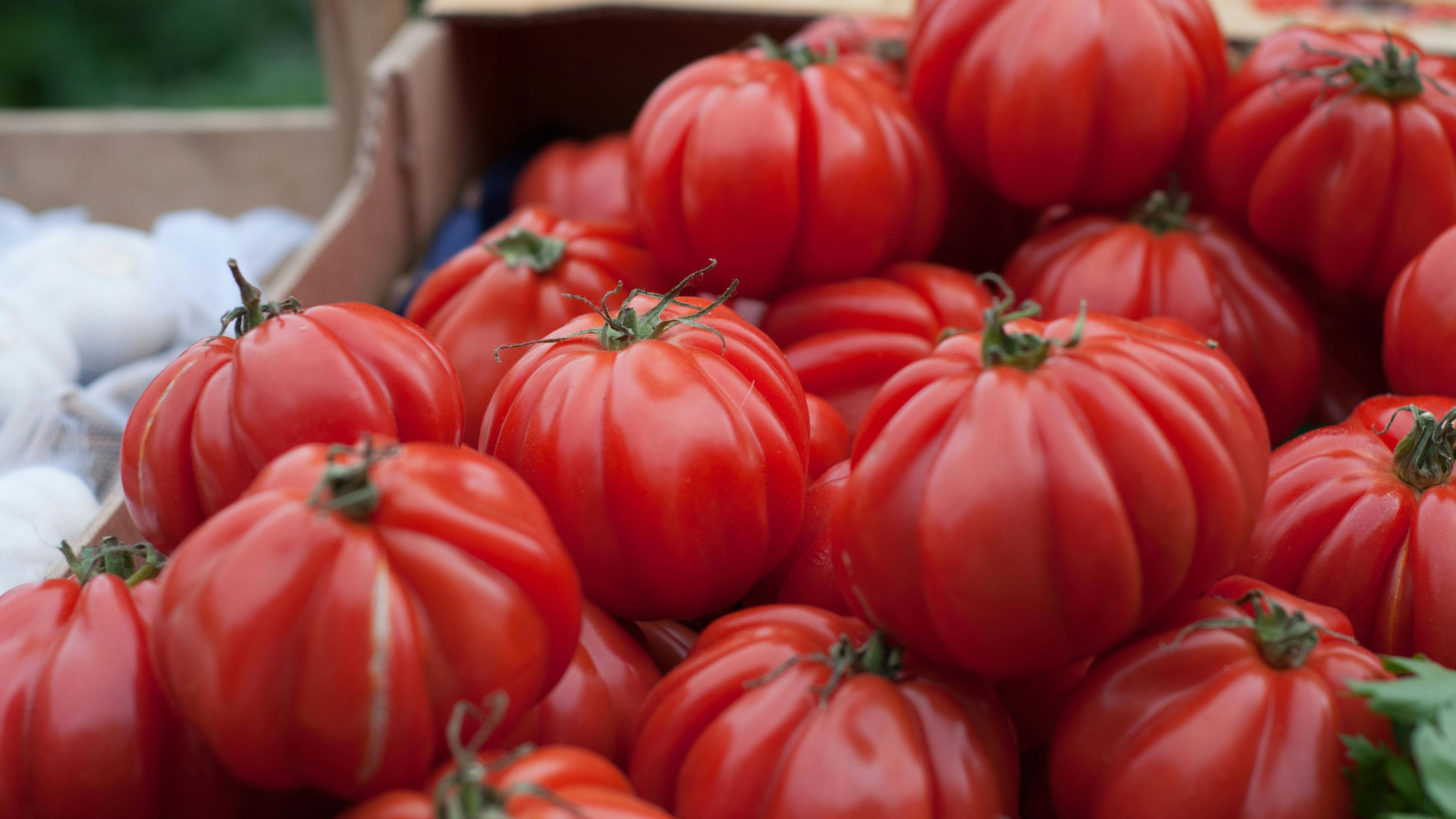 Los tomates son una buena fuente de licopeno. FUENTE: Pexels