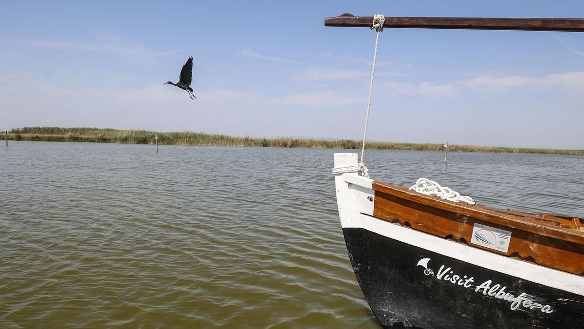 Albufera de Valencia