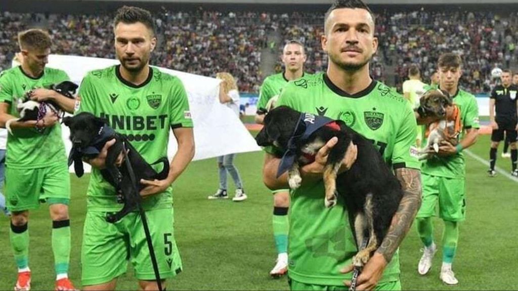 Jugadores rumanos con los perros en adopción en brazos