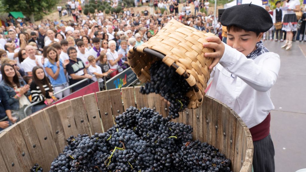 Un niño coloca uvas para su pisado durante la Fiesta de la Vendimia de 2023