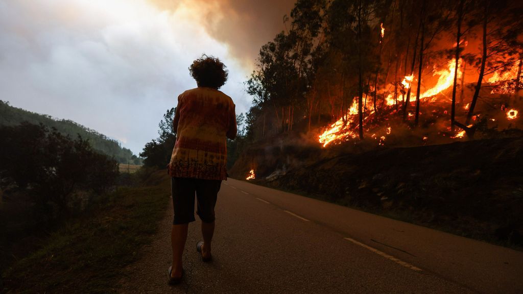 Incendios en Portugal: los bosques de eucaliptos, el viento y las altas temperaturas impulsan la tragedia