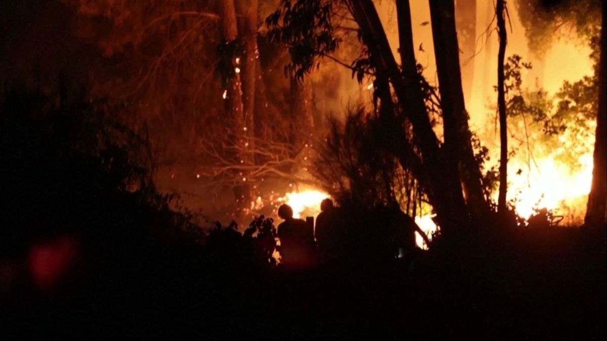 El grave incendio en Portugal deja cuatro muertos y más de 40 heridos