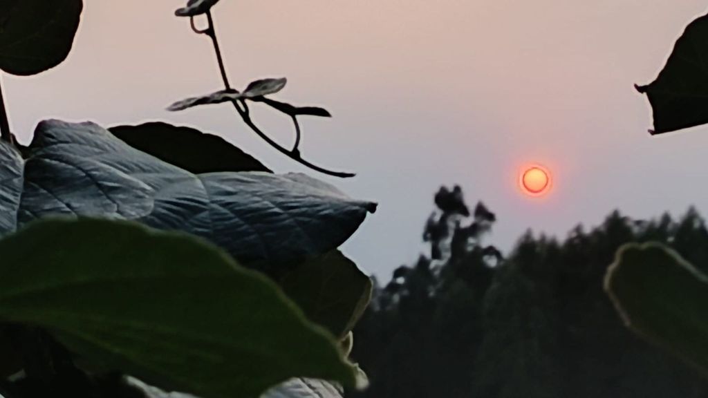 El atardecer en Galicia dejó este miércoles estampas del sol como ésta