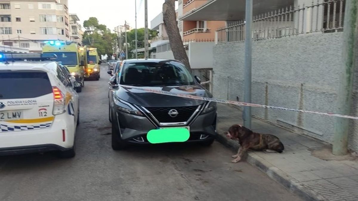 Ingresado un hombre tras ser atacado por su propio perro en cala Millor, Mallorca