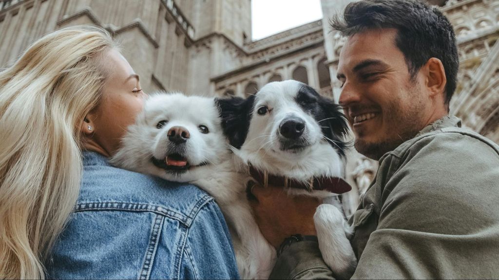 Viajar con mascotas