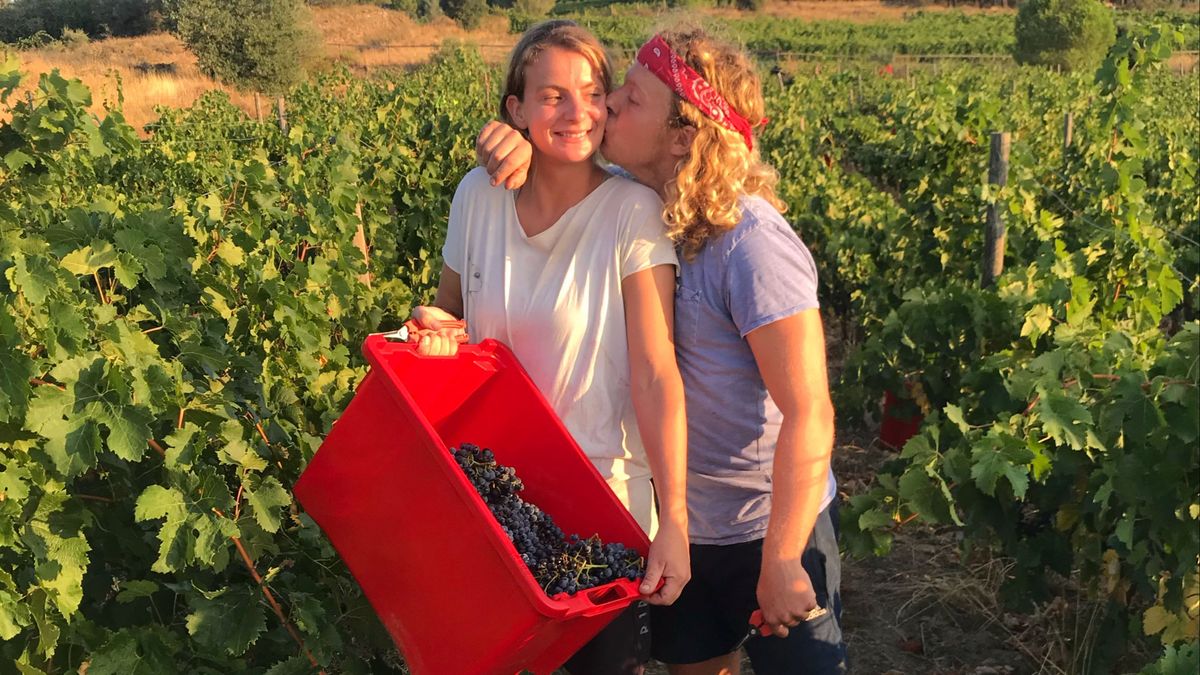 El sueño cumplido de una pareja neerlandesa que elabora vinos en Girona