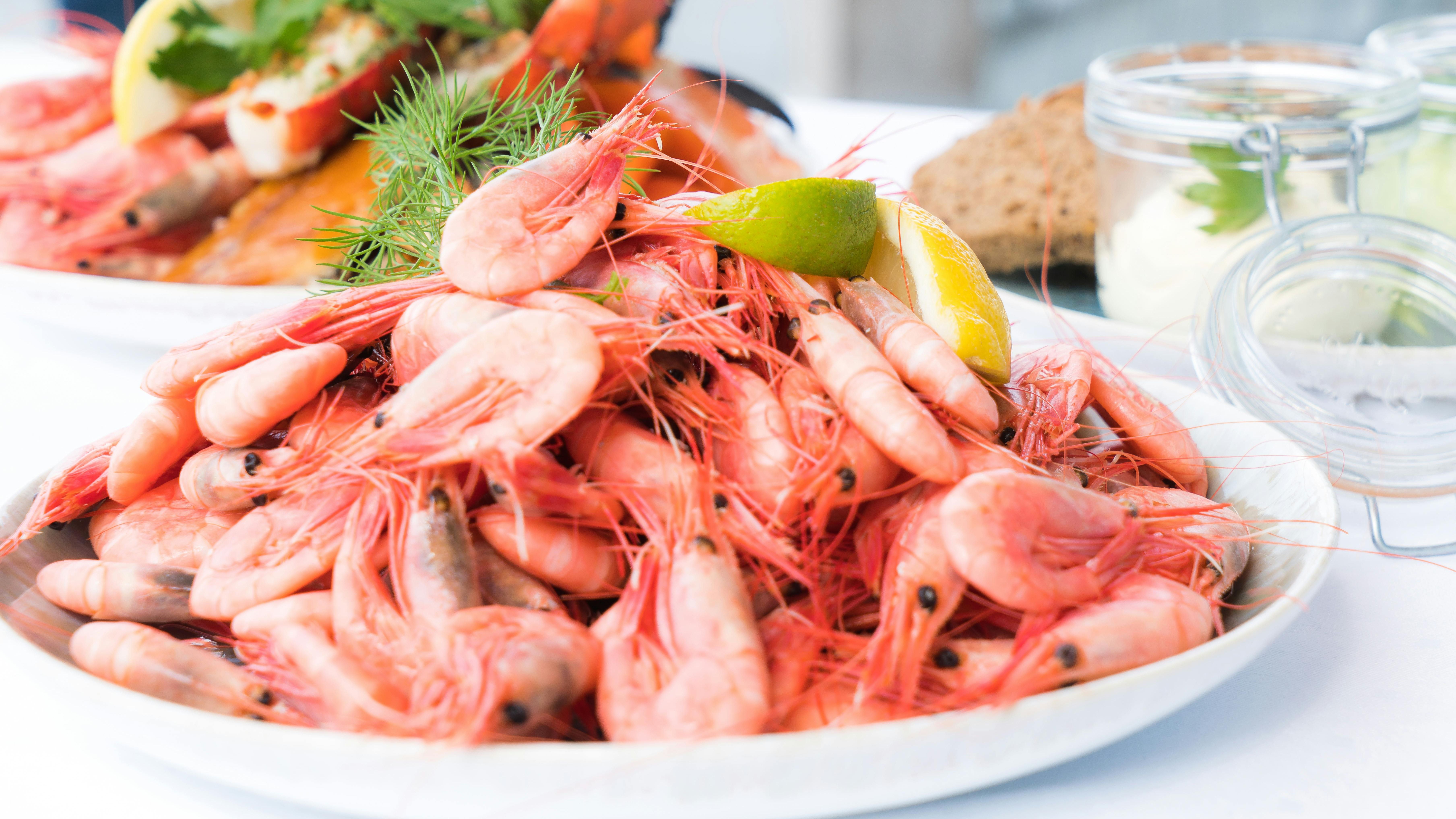 El marisco y el embarazo El marisco y el embarazo