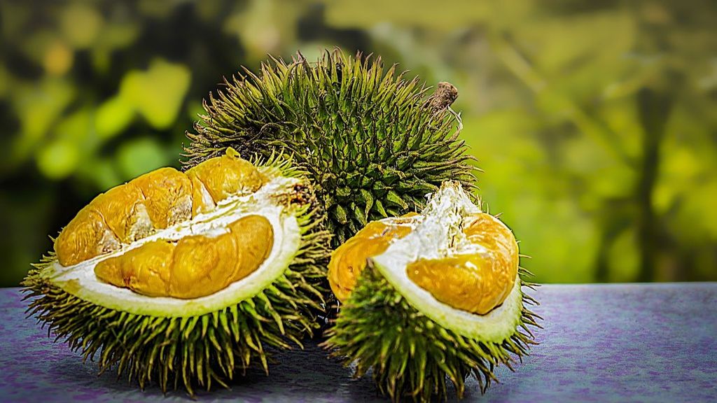 El durian está prohibido en algunos espacios públicos de Singapur o Tailandia por su fuerte olor