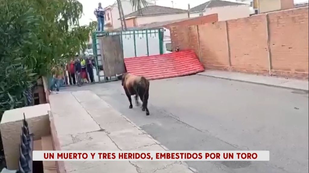 El momento en el que un toro se escapa del encierro en Pantoja (Toledo)