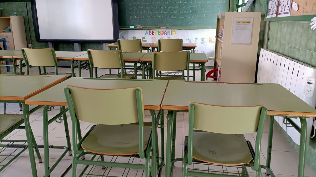 El Consejo de Europa considera que las sentencias judiciales que imponen un mínimo de clases en castellano infringen los compromisos de España