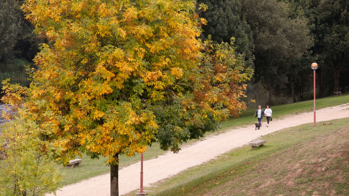 imagen otoño