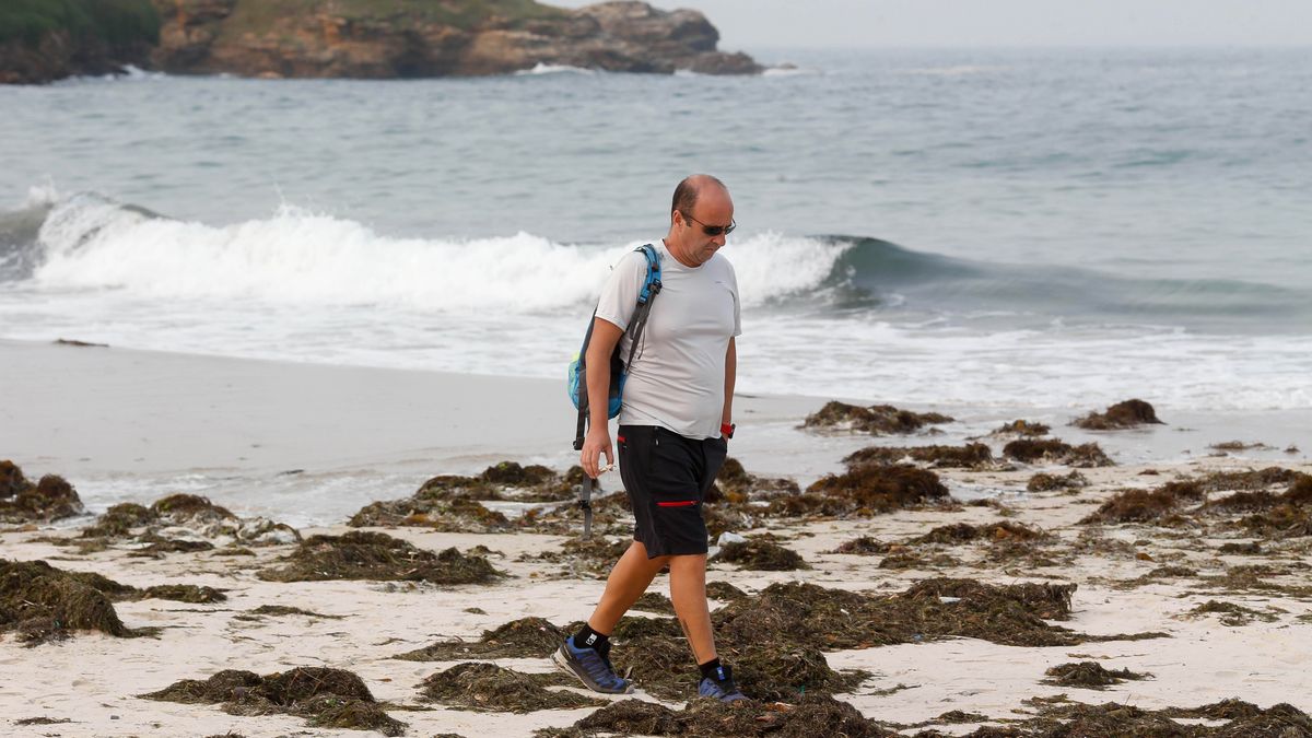 La advertencia de expertos franceses sobre las playas españolas: "En el futuro no será posible bañarse"