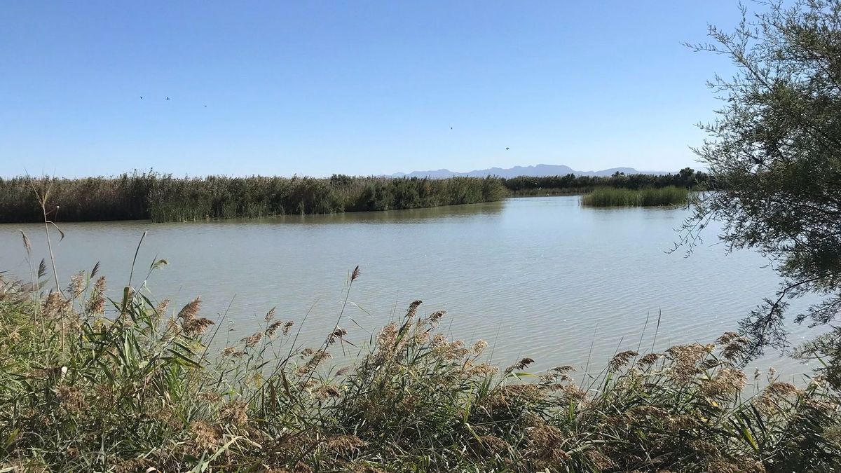 Albufera de Valencia