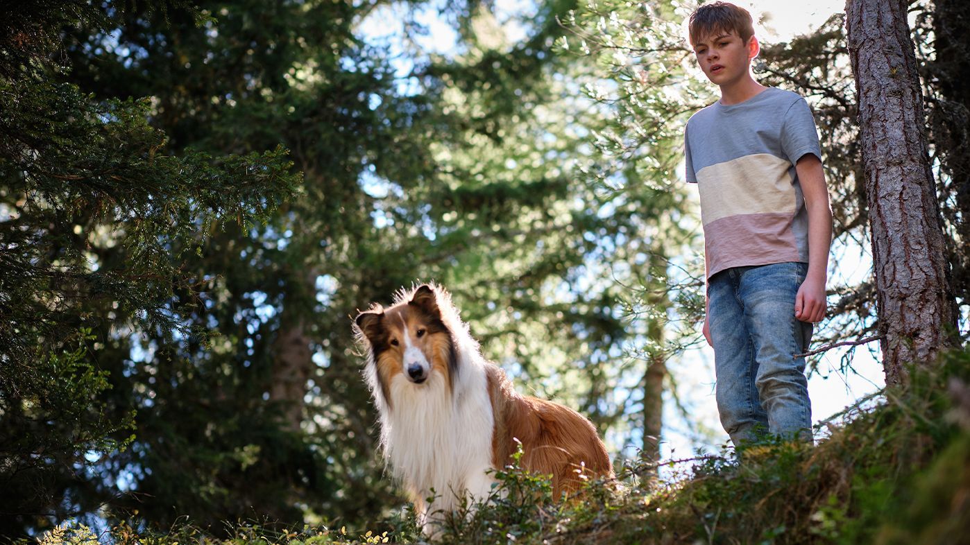 Ver Lassie (Una nueva aventura) completa